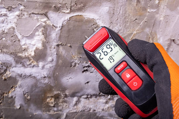 Best Health and Safety Mold Remediation in Huntingtown, MD