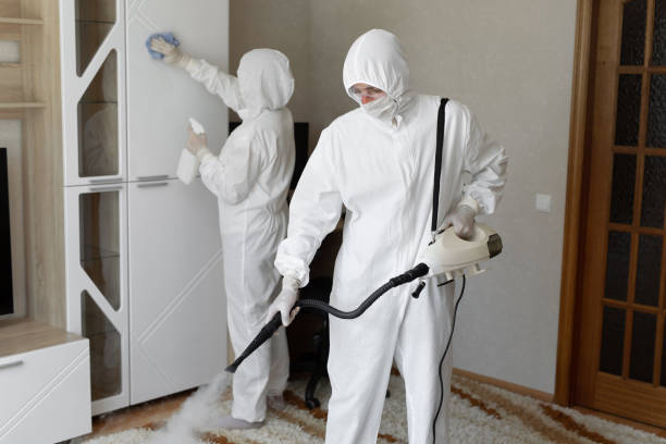 Professional Mold Remediation in Huntingtown, MD
