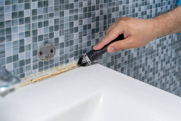 Best Mold Remediation for Specific Building Types in Huntingtown, MD